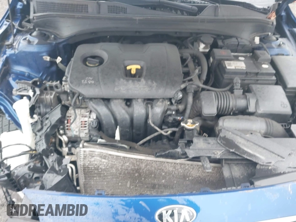 2019 Kia Forte LXS with VIN 3KPF24AD0KE049626, listed as a IAAI auction lot 42018286 with 141,619 mi miles and . Bid and sale history available at DreamBid. Image 10.
