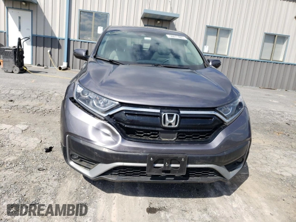 2022 Honda CR-V EX with VIN 7FARW2H50NE021526, listed as a Copart auction lot 50071883 with 19,166 mi miles and . Bid and sale history available at DreamBid. Image 5.