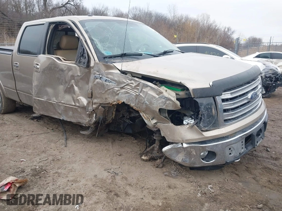 2014 Ford F-150 XL with VIN 1FTFW1EF9EFA91253, listed as a IAAI auction lot 41698300 with 138,663 mi miles. Bid and sale history available at carsss.com. Image 6.