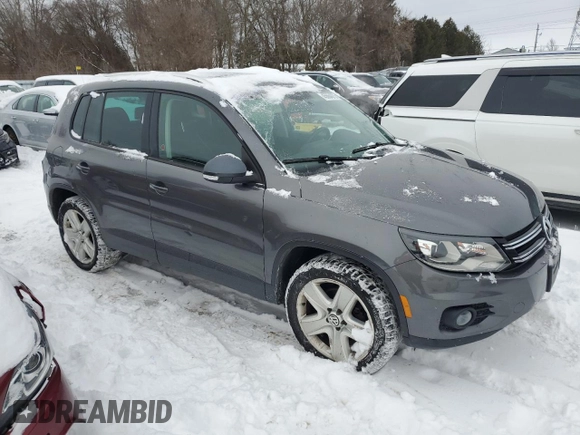 2013 Volkswagen Tiguan S with VIN WVGJV3AX2DW617899, listed as a Copart auction lot 45664075 with 172,380 mi miles and Clean title. Bid and sale history available at DreamBid. Image 4.