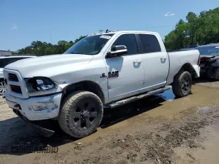 2017 Ram 2500 SLT with VIN 3C6UR5DL7HG716627, listed as a Copart auction lot 52193915 with 258,751 mi miles and Salvage title. Bid and sale history available at DreamBid. Image 1.