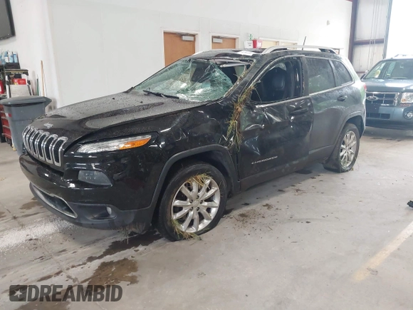 2017 Jeep Cherokee Limited with VIN 1C4PJMDS0HW651300, listed as a IAAI auction lot 42600208 with 221,756 mi miles and . Bid and sale history available at DreamBid. Image 2.