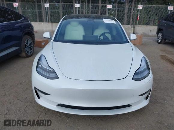 2020 Tesla Model 3 Standard Range Plus with VIN 5YJ3E1EA5LF613002, listed as a IAAI auction lot 42129085 with 55,672 mi miles. Bid and sale history available at carsss.com. Image 13.
