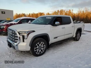 2024 Toyota Tundra 1794 Edition with VIN 5TFMA5DB3RX220504, listed as a Copart auction lot 88011265 with 10,973 mi miles and Clean title. Bid and sale history available at DreamBid. Image 1.