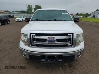 2013 Ford F-150 XL with VIN 1FTMF1CM8DKF92567, listed as a Copart auction lot 59965535 with 133,266 mi miles and Salvage title. Bid and sale history available at DreamBid. Image 5.
