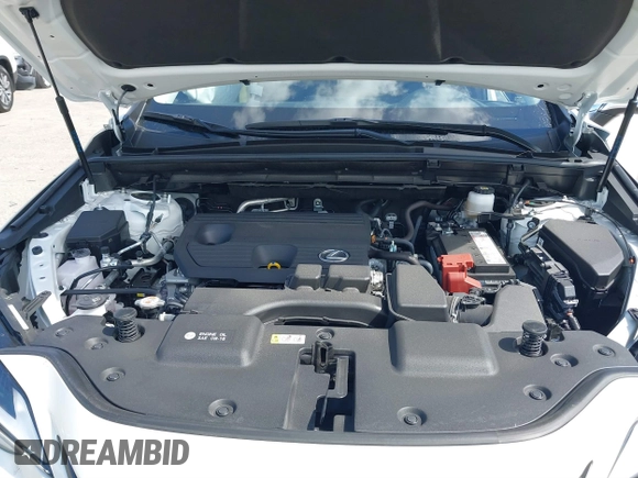 2024 Lexus NX 250 with VIN JTJADCAZ7R5022145, listed as a IAAI auction lot 41688698 with 5,699 mi miles and . Bid and sale history available at DreamBid. Image 10.