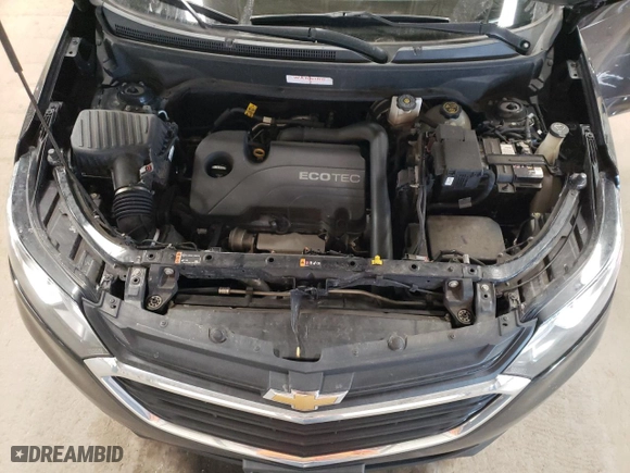 2020 Chevrolet Equinox LS with VIN 2GNAXSEV8L6184705, listed as a Copart auction lot 48496455 with 79,724 mi miles and Salvage Title. Bid and sale history available at carsss.com. Image 12.