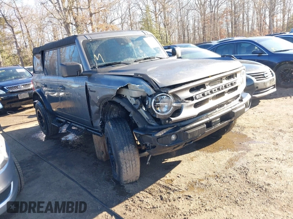 2024 Ford Bronco Big Bend z VIN 1FMDE7BH8RLA24276, wystawiony jako IAAI lot #41560223 z przebiegiem 17 330 mil mil oraz . Historia ofert i sprzedaży dostępna na DreamBid. Obrazek 1.