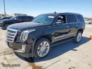 2015 Cadillac Escalade Platinum with VIN 1GYS4PKJXFR747910, listed as a Copart auction lot 48724195 with 117,902 mi miles and Salvage Title. Bid and sale history available at carsss.com. Image 1.