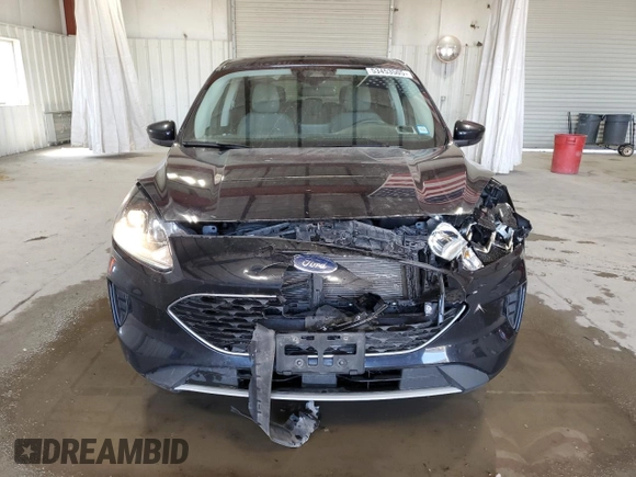 2021 Ford Escape SE Hybrid with VIN 1FMCU9BZ1MUA09687, listed as a Copart auction lot 53453505 with 80,458 mi miles and Salvage title. Bid and sale history available at DreamBid. Image 5.