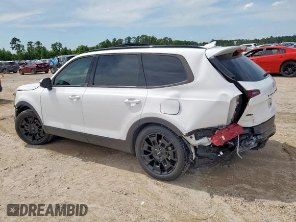 2022 Kia Telluride SX with VIN 5XYP5DHC7NG225071, listed as a Copart auction lot 58676865 with 92,055 mi miles and Salvage title. Bid and sale history available at DreamBid. Image 2.