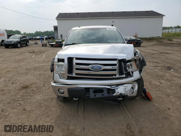 2009 Ford F-150 XL with VIN 1FTPW14V69FA77961, listed as a Copart auction lot 60561585 with 228,243 mi miles and Clean title. Bid and sale history available at DreamBid. Image 5.