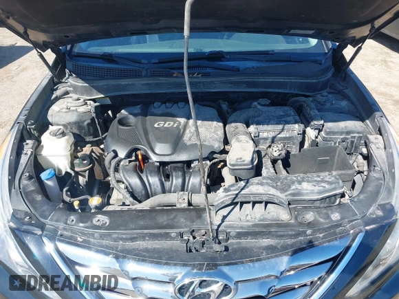 2013 Hyundai Sonata Limited with VIN 5NPEC4AC5DH541163, listed as a IAAI auction lot 41823970 with 117,286 mi miles and . Bid and sale history available at carsss.com. Image 10.
