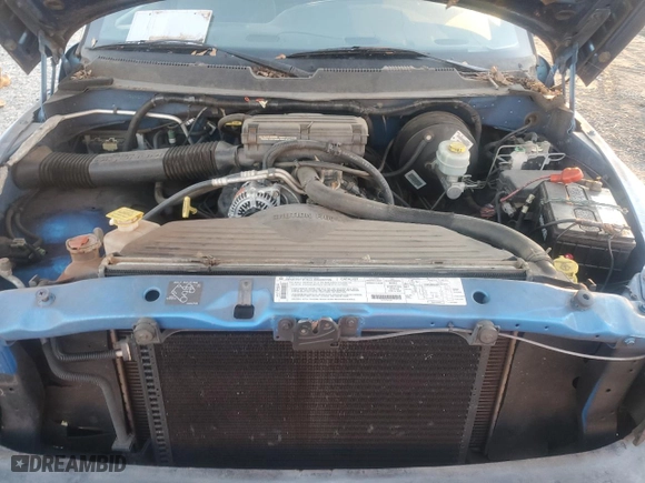 1999 Dodge Ram 1500 with VIN 3B7HC13Y5XG146255, listed as a Copart auction lot 87958215 with 0 mi miles and Salvage Title. Bid and sale history available at carsss.com. Image 11.