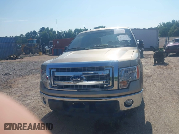 2013 Ford F-150 XL with VIN 1FTEX1CMXDFC62133, listed as a IAAI auction lot 42567537 with 132,668 mi miles and . Bid and sale history available at DreamBid. Image 12.