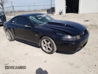 2001 Ford Mustang GT Deluxe with VIN 1FAFP42X41F227798, listed as a Copart auction lot 49651105 with 209,234 mi miles and Clean title. Bid and sale history available at DreamBid. Image 4.