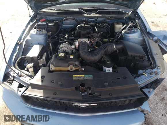 2007 Ford Mustang Deluxe with VIN 1ZVFT84N975336617, listed as a Copart auction lot 48984825 with 86,876 mi miles and Salvage Title. Bid and sale history available at carsss.com. Image 13.