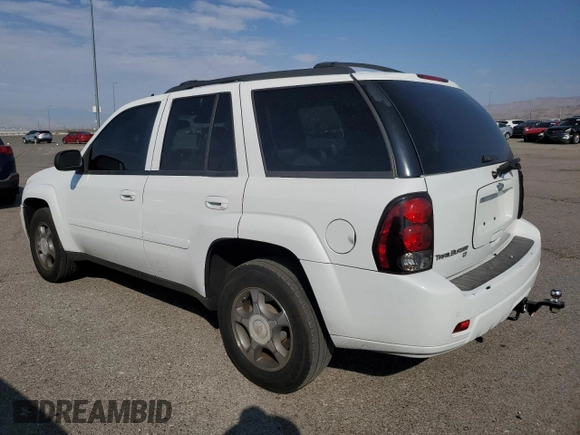 2008 Chevrolet TrailBlazer 1LT with VIN 1GNDS13S482184364, listed as a Copart auction lot 70819084 with 151,565 mi miles and Salvage Title. Bid and sale history available at DreamBid. Image 2.