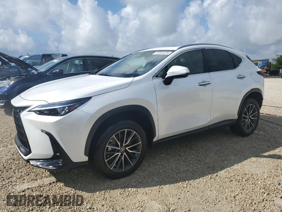2023 Lexus NX with VIN JTJGDCAZ2P5009827, listed as a Copart auction lot 73701374 with Not Provided miles and Non Repairable. Bid and sale history available at carsss.com. Image 1.