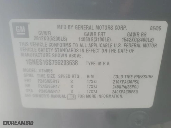 2005 Chevrolet TrailBlazer LS with VIN 1GNES16S756203638, listed as a Copart auction lot 41380725 with 0 mi miles and Salvage Title. Bid and sale history available at carsss.com. Image 13.