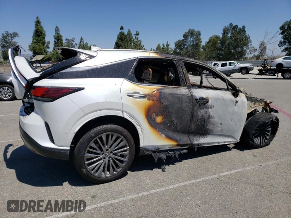 2024 Lexus RX with VIN 2T2BBMCA8RC047497, listed as a Copart auction lot 68663804 with Not Provided miles and Non Repairable. Bid and sale history available at carsss.com. Image 3.