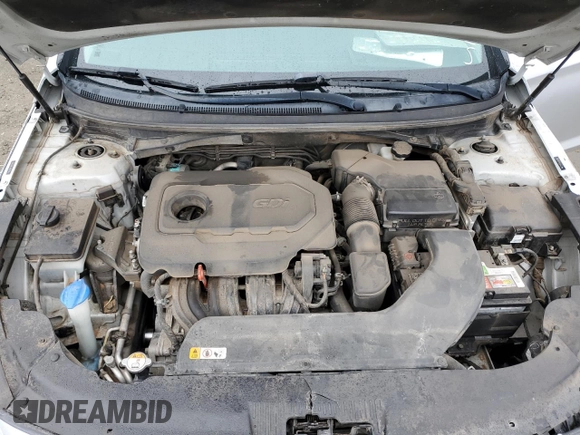 2017 Hyundai Sonata 2.4L with VIN 5NPE24AF2HH501576, listed as a Copart auction lot 49324005 with 163,048 mi miles and Salvage Title. Bid and sale history available at carsss.com. Image 12.