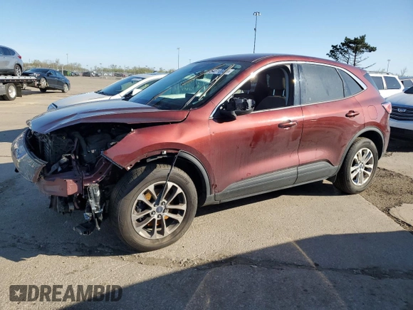 2021 Ford Escape SE with VIN 1FMCU9G67MUA94906, listed as a Copart auction lot 54310725 with 84,595 mi miles and Salvage title. Bid and sale history available at DreamBid. Image 1.