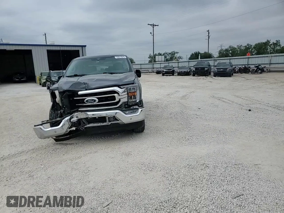 2021 Ford F-150 XL with VIN 1FTEW1CP1MFC04764, listed as a Copart auction lot 59572975 with 61,576 mi miles and Salvage title. Bid and sale history available at DreamBid. Image 13.