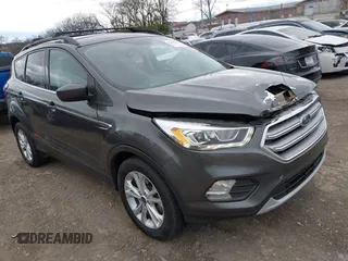 2017 Ford Escape SE with VIN 1FMCU0GD9HUE90819, listed as a IAAI auction lot 41837745 with 123,543 mi miles. Bid and sale history available at carsss.com. Image 1.