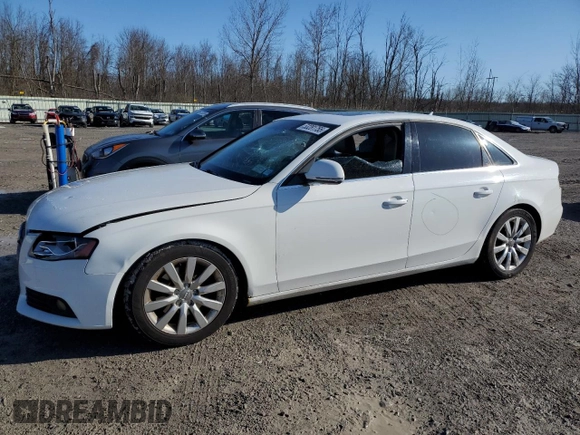 2009 Audi A4 Premium Plus z VIN WAUSF78K79N037565, wystawiony jako Copart lot #53281755 z przebiegiem 135 734 mil mil oraz Szkoda całkowita • Salvage title. Historia ofert i sprzedaży dostępna na DreamBid. Obrazek 1.