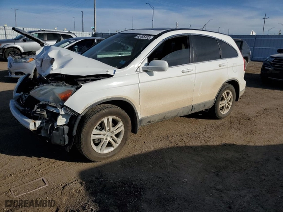 2010 Honda CR-V EX-L with VIN 5J6RE4H76AL059579, listed as a Copart auction lot 48465305 with 0 mi miles and Salvage Title. Bid and sale history available at carsss.com. Image 1.
