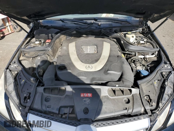 2010 Mercedes-Benz E-Class E 550 with VIN WDDKJ7CB3AF009212, listed as a Copart auction lot 48185345 with 132,734 mi miles and Clean Title. Bid and sale history available at carsss.com. Image 11.