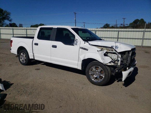 2017 Ford F-150 XL with VIN 1FTEW1C83HKD58172, listed as a Copart auction lot 80305554 with 131,377 mi miles and Salvage Title. Bid and sale history available at carsss.com. Image 4.