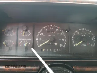 1991 Ford F-150 with VIN 1FTEF15N8MLA29118, listed as a Copart auction lot 86580234 with 66,814 mi miles and Salvage Title. Bid and sale history available at carsss.com. Image 9.