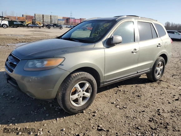 2007 Hyundai Santa Fe GLS with VIN 5NMSG13D37H099321, listed as a Copart auction lot 49317285 with 241,115 mi miles and Salvage Title. Bid and sale history available at carsss.com. Image 1.