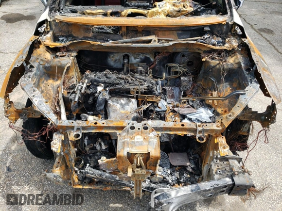 2019 Lexus NX 300 with VIN JTJBARBZ2K2189373, listed as a Copart auction lot 54381935 with Not provided miles and Salvage title. Bid and sale history available at DreamBid. Image 11.