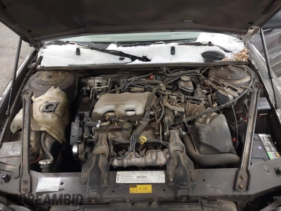 1996 Chevrolet Lumina with VIN 2G1WL52M7T9201086, listed as a IAAI auction lot 41490782 with 140,480 mi miles and . Bid and sale history available at DreamBid. Image 10.