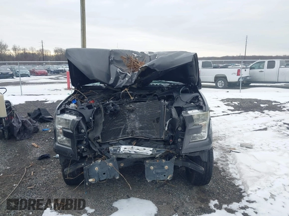 2016 Ford F-150 XL с VIN 1FTEX1C81GFB09051, выставлен на аукционе IAAI как лот 41300134 с пробегом 232 746 миль миль и . История ставок и продаж доступна на DreamBid. Изображение 13.
