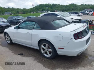 2014 Ford Mustang V6 with VIN 1ZVBP8EM2E5220391, listed as a IAAI auction lot 42160616 with 178,080 mi miles and . Bid and sale history available at DreamBid. Image 14.