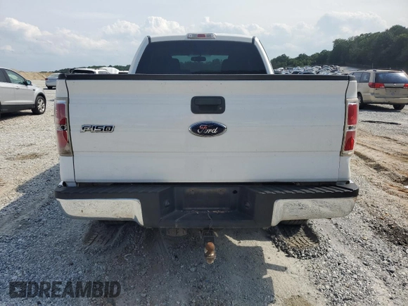 2010 Ford F-150 XL with VIN 1FTEX1E89AFB10260, listed as a Copart auction lot 57491885 with 185,044 mi miles and Salvage title. Bid and sale history available at DreamBid. Image 6.