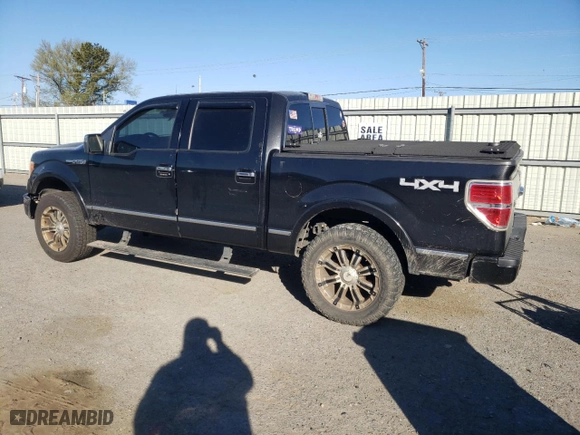 2010 Ford F-150 XL with VIN 1FTFW1EV1AFB96418, listed as a Copart auction lot 49744695 with 226,301 mi miles and Clean Title. Bid and sale history available at carsss.com. Image 2.