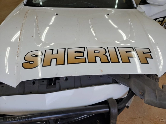 2014 Dodge Charger Police with VIN 2C3CDXAT7EH367729, listed as a Copart auction lot 46520625 with 0 mi miles and Salvage Title. Bid and sale history available at carsss.com. Image 11.