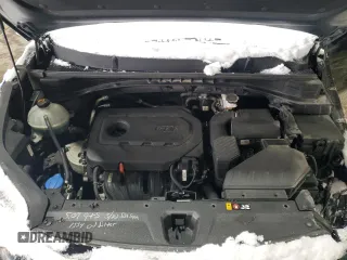 2019 Kia Sportage EX with VIN KNDPNCAC6K7518148, listed as a Copart auction lot 44252175 with 67,210 mi miles and Salvage Title. Bid and sale history available at carsss.com. Image 13.