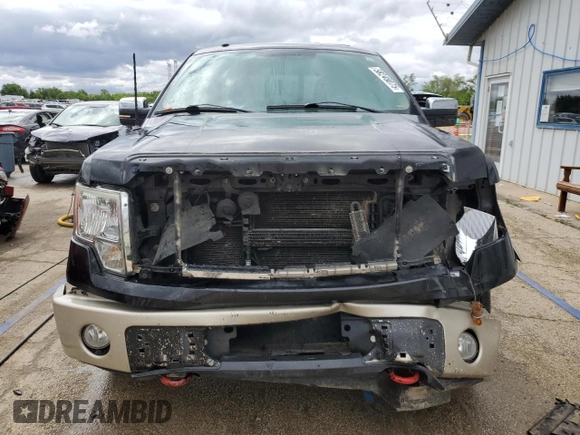 2010 Ford F-150 XL with VIN 1FTFW1EV7AKA98081, listed as a Copart auction lot 58248075 with 262,250 mi miles and Salvage title. Bid and sale history available at DreamBid. Image 5.