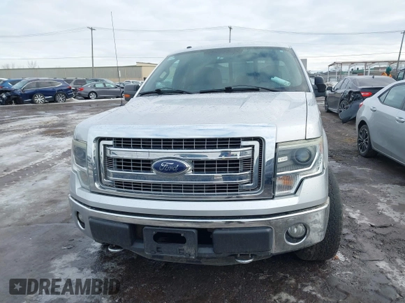 2014 Ford F-150 XL with VIN 1FTFX1ET3EKE46900, listed as a IAAI auction lot 41685367 with 115,849 mi miles. Bid and sale history available at carsss.com. Image 12.