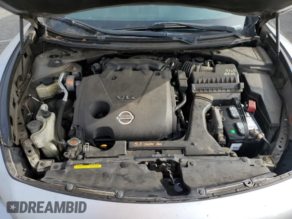 2013 Nissan Maxima SV with VIN 1N4AA5AP9DC808349, listed as a Copart auction lot 60731485 with 202,716 mi miles and Salvage title. Bid and sale history available at DreamBid. Image 11.