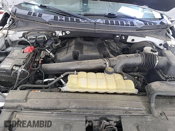 2019 Ford F-150 XL with VIN 1FTEX1C48KKE10543, listed as a IAAI auction lot 42859326 with 81,239 mi miles and . Bid and sale history available at DreamBid. Image 3.