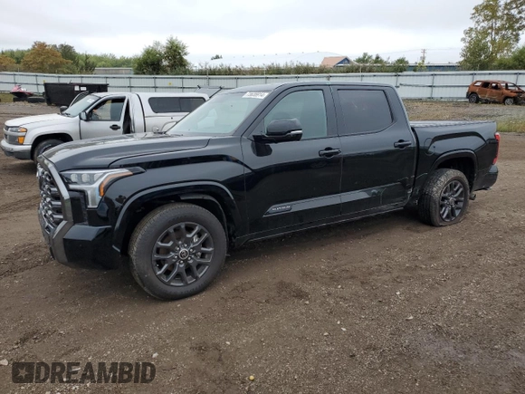 2022 Toyota Tundra Platinum with VIN 5TFNA5DB9NX028910, listed as a Copart auction lot 73638914 with 25,404 mi miles and Salvage title. Bid and sale history available at DreamBid. Image 1.