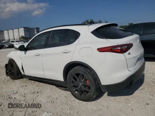 2019 Alfa Romeo Stelvio Ti with VIN ZASPAKBN3K7C70518, listed as a Copart auction lot 53438145 with Not provided miles and Non repairable. Bid and sale history available at DreamBid. Image 2.