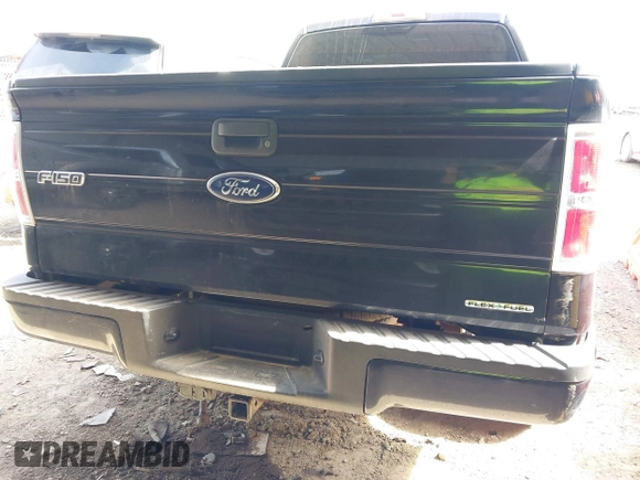 2014 Ford F-150 XL с VIN 1FTEX1EM9EKF45032, выставлен на аукционе IAAI как лот 41808430 с пробегом 154 870 миль миль и . История ставок и продаж доступна на DreamBid. Изображение 16.